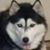 Oscar Gonzales's profile image