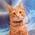 John O'Halloran's profile image