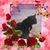 Kris Trinrud Imm's profile image