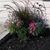 Pam A. Brodie's profile image