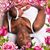 Chasiree Stone Hanks's profile image