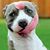 Will E. Pearo's profile image