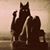 Paula Pfeifer Catt's profile image
