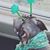 Mandie B's profile image