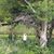Rhonda Balkenende's profile image