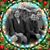 Paula Bohm Lind's profile image