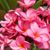 Cynthia A. Martinez's profile image