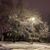 Crystal Perris's profile image