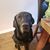 Christine Burdine's profile image