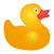 Alison C. Smith's profile image