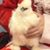 Shelly Pesato's profile image