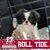 Jodi Sasloe's profile image