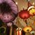 Faiza Salahuddin's profile image