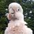 Kathryn Roy's profile image