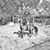 Carlos Alberto Londono S.'s profile image
