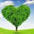 Ch Qaiser Ch Qsiser's profile image