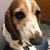 Stephanie Wilson's profile image