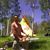 Jason Sandgren's profile image
