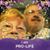 Elizabeth Huffman's profile image