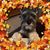 Carolyn Veteto-Casteel's profile image