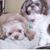 Patsy Burris's profile image