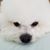 Carol Smith's profile image