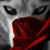 David Lenn's profile image