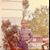 Richard Kurrus Clas's profile image