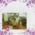 Rosaura Hernandez's profile image