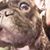 Dario Mon-Goose Heredia's profile image