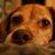 Douglas Beason's profile image