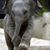 Mandy Slayton's profile image