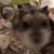 Amanda Claire Brown's profile image