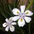 Carla Mckennon's profile image