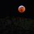 Penny Fawver Nelson's profile image