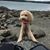 Tina Ray's profile image