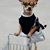 La Nancy Sanchez's profile image