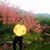 Anan Srijampa's profile image