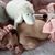 Claudette Campagnoli's profile image