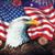 Gary N Kellianne Turner's profile image