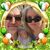 Elfriede Chmela's profile image