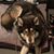 Wendy Pospychala Ullrich's profile image