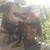Melanie Larson-Keck's profile image