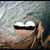 Randy J. Bartmess's profile image