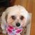 Peter Sullivan's profile image