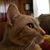 Julie Heller's profile image