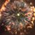 Bob Hartwig's profile image