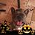 Maria Jose Guzman's profile image