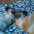 Rhonda Packer's profile image
