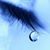Leobardo Parra's profile image
